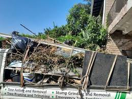 Best Moving and Downsizing Cleanouts  in Hammonton, NJ